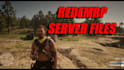 develop redm scripts and setup a full redm roleplay, fivem server