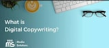 write professional assignments and copywriting content