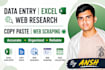 do data entry, web research, web scraping, excel data entry