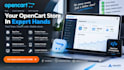 fix opencart bugs errors and customize your ecommerce store