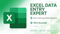 do excel data entry, data cleaning web reasearch  excel sheet