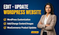 do wordpress website edit, customization and content update