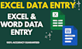 do expert data entry