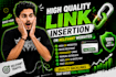 provide high quality link insertion on relevant websites