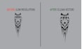 vectorize, redraw, recreate, or convert logo to vector