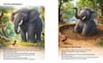 design professional book layouts