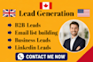 do amazon seller leads USA, UK and canada