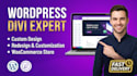 build a responsive wordpress divi website