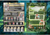 create professional canva designs, infographics and presentations