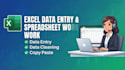 do excel data entry and spreadsheet work professionally