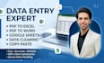 do ms excel data entry,  copy paste and typing work accurately