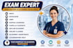 help with umgc, umpi, wgu, snhu courses