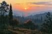 landscape oil painting art