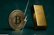 help you set up a bitcoin wallet and learn crypto step by step