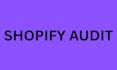 do shopfiy store audit for your dropshipping store