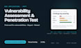 pentest your website with a professional penetration testing report