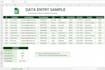 accurate data entry and excel data entry