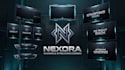 design professional gaming overlays and streamer graphics