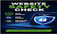 review your website security and provide recommendations