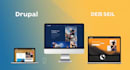 do drupal website design and redesign drupal development