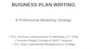 write a professional business plan and strategy