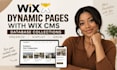 build wix dynamic pages with wix cms and database collections