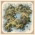 draw a wonderful custom fantasy map