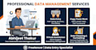 do excel data entry, data cleaning and web research