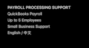 provide payroll setup and processing support for businesses