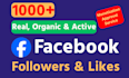 buy 1000 facebook followers, likes fast