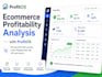 analyze ecommerce profit margins and hidden costs