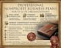 create a professional nonprofit business plan for your organization