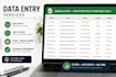 do accurate data entry and copy paste tasks