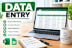 do data entry as your virtual assistant