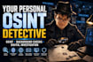 conduct professional osint investigation and online research