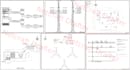 drawing telecom towers 2d autocad