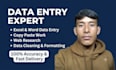 do professional data entry and excel work efficiently