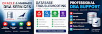provide oracle dba support and database troubleshooting