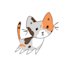 draw a silly cat