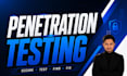perform professional penetration testing and vulnerability assessment