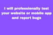 professionally test your website or mobile app and report bugs