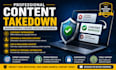 remove defaming, harassing, copyright, infringing, leaked content from internet