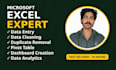 do excel data entry, vlookup and dashboard creation