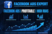 setup and manage profitable facebook ads campaign