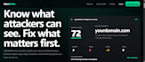 do a manual website security audit