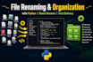 batch rename and organize your files using python