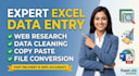 do expert excel data entry and web research