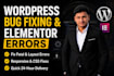 fix wordpress bugs errors layout issues and elementor website