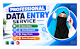 data entry, web research, copy paste and data scraping