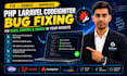 fix PHP laravel bugs, codeigniter bugs, laravel errors and issues